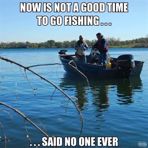 funny fishing memes|91 Hilarious Fishing Memes To make Your Day.